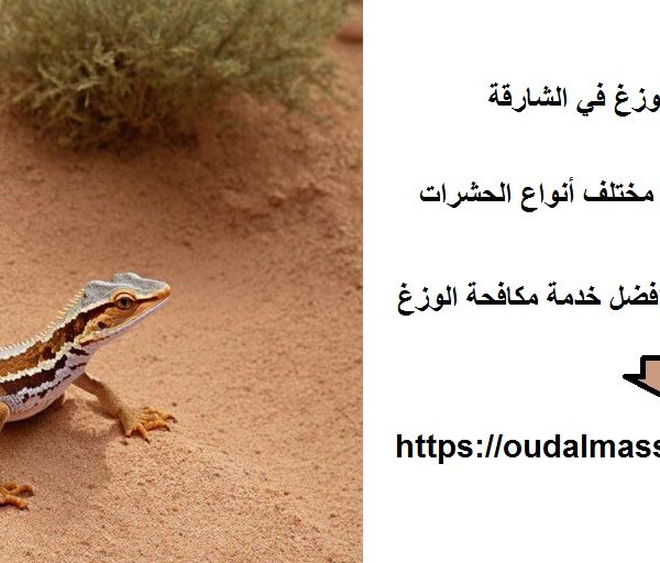 شركة مكافحة الوزغ في الشارقة
