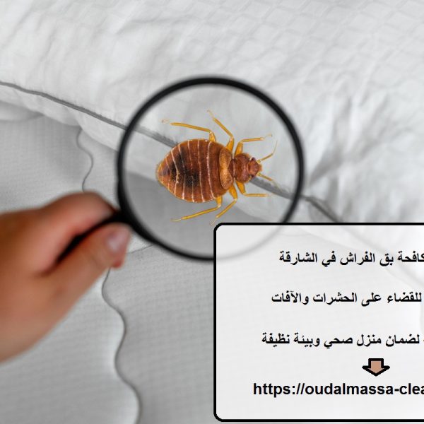 شركة مكافحة بق الفراش في الشارقة