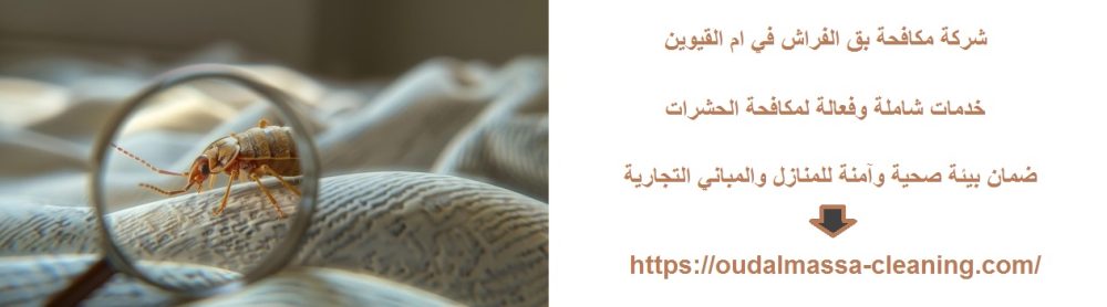 شركة مكافحة بق الفراش في ام القيوين