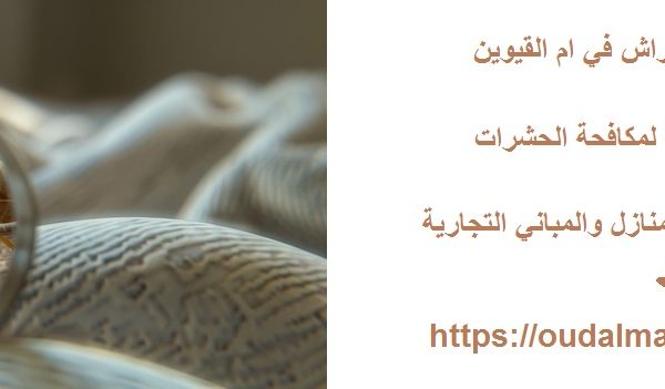 شركة مكافحة بق الفراش في ام القيوين