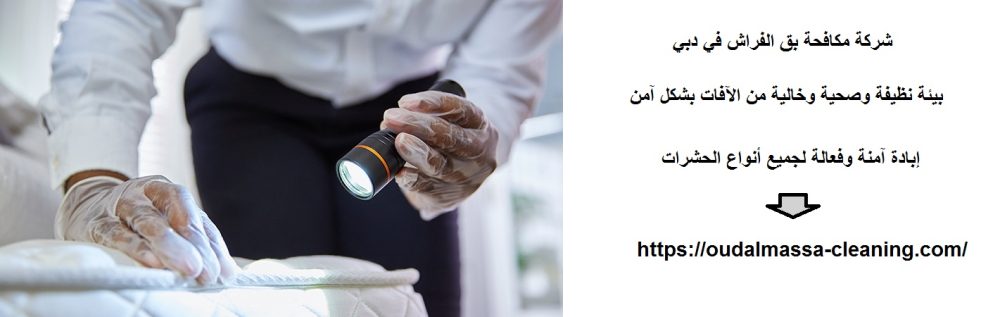 شركة مكافحة بق الفراش في دبي