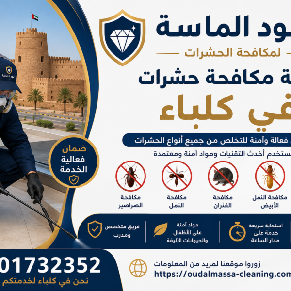 شركة مكافحة حشرات في كلباء