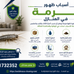 أسباب ظهور الرمة في المنازل