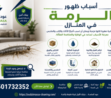 أسباب ظهور الرمة في المنازل