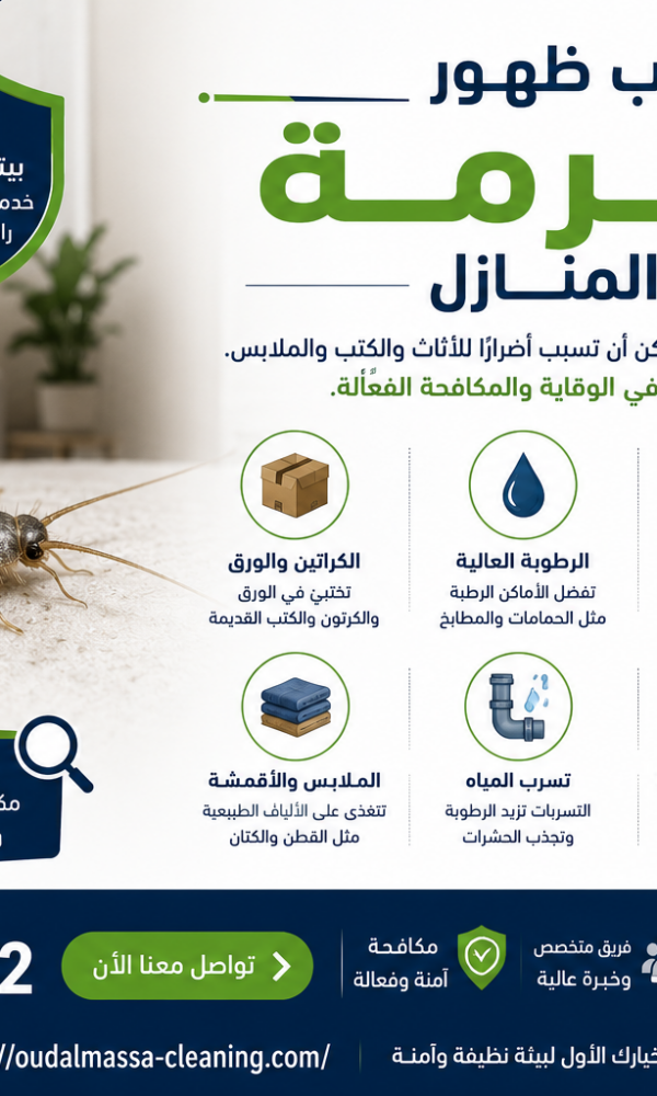 أسباب ظهور الرمة في المنازل