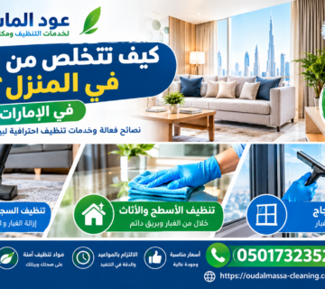 التخلص من الغبار في المنزل