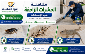 مكافحة الحشرات الزاحفة في الإمارات